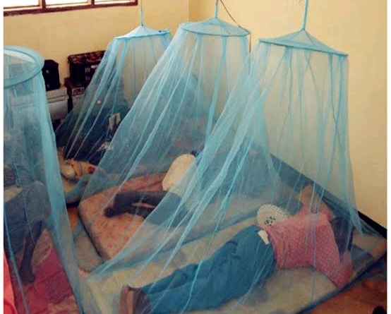 Malaria Prevention: Essential Measures to Stay Safe
