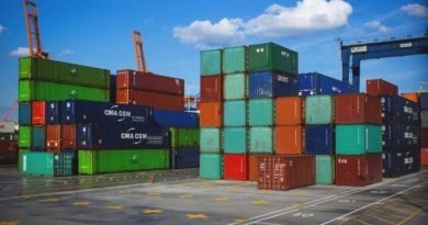 FG Moves to Identify One Exportable Product in Each of Nigeria’s 774 LGAs by 2026