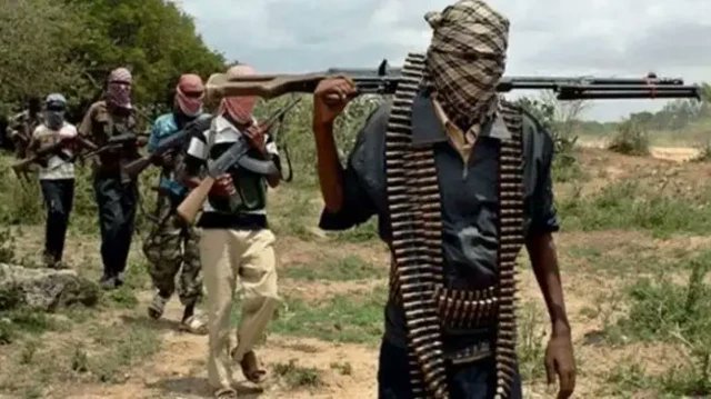 Suspected Bandits Attack National Park Service Office in Oyo, Kill Five Forest Guards