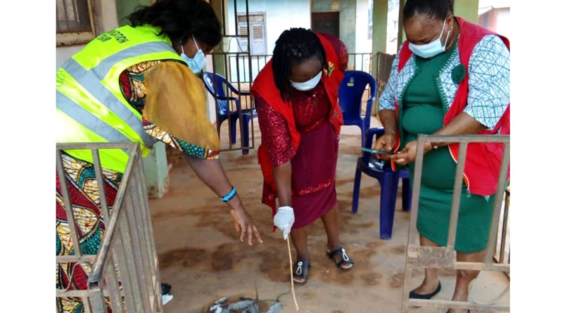 Lassa fever